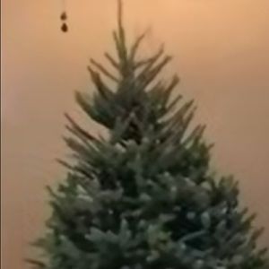 Meet your Posher, Geraldine